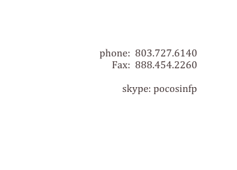 phone:  803.727.6140
Fax:  888.454.2260 
johnevans@pocosinforestproducts.com
skype: pocosinfp
